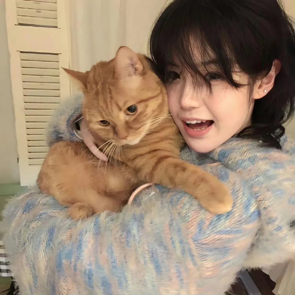 穿越时空的密令